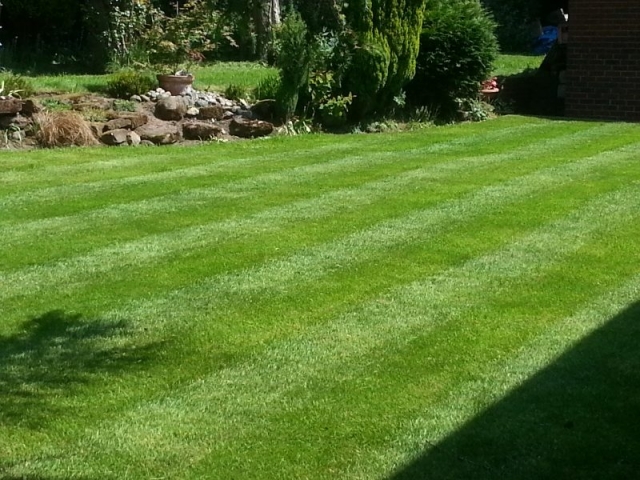 Lawn Cut By LawnQuest