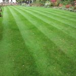 Lawn Treatments Culcheth by LawnQuest