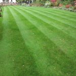 Lawn Treatments Bromborough and Raby Mere by LawnQuest