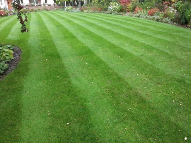 Lawn Cut by LawnQuest