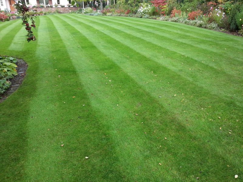 Lawn Cut By LawnQuest