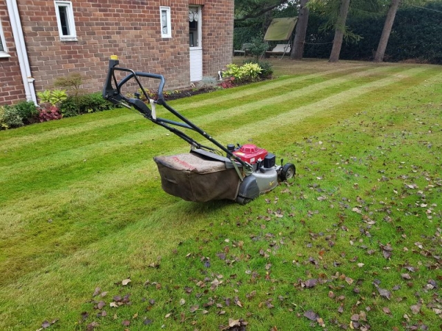 Half way cut by LawnQuest