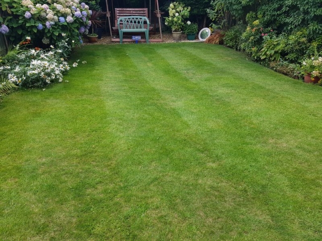 Lawn Cut By LawnQuest