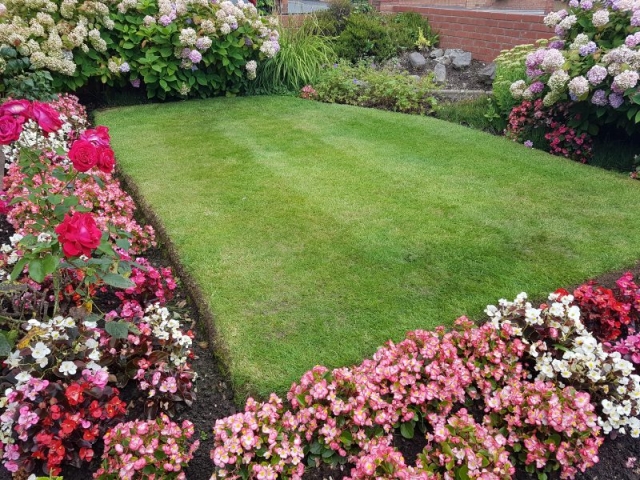 Cut and Treatment applied by LawnQuest