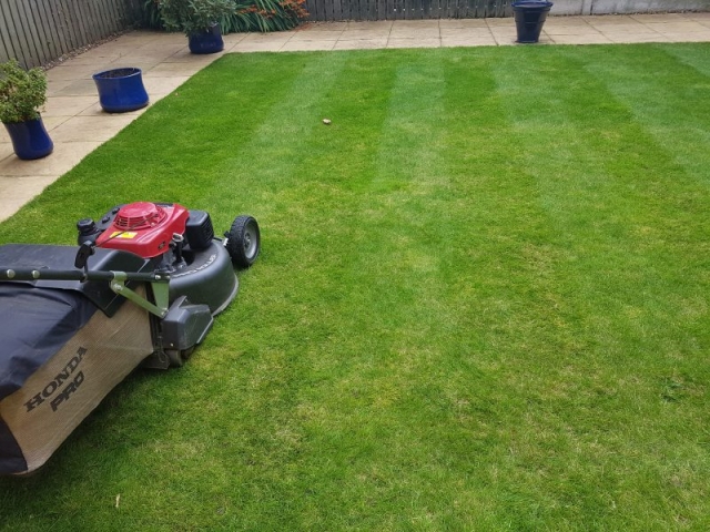 Lawn Cut by LawnQuest