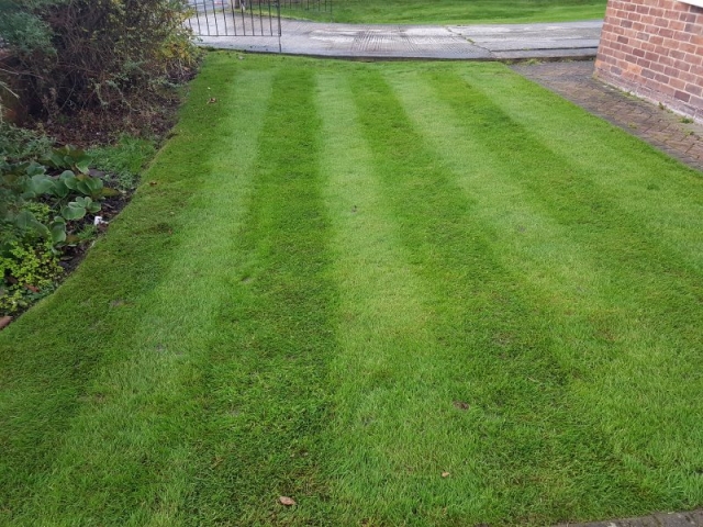 Lawn Cut by LawnQuest