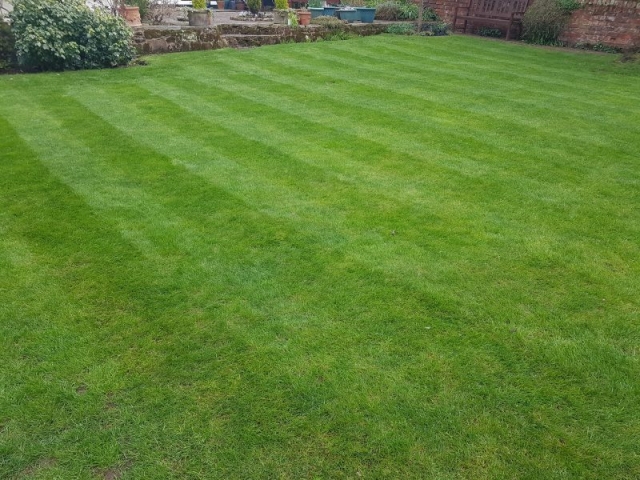 Lawn Cut by LawnQuest