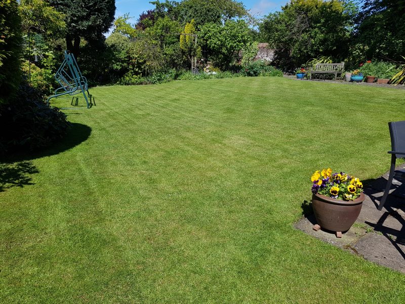 Lawn Treatment by LawnQuest