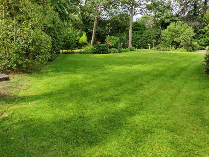 Lawn Treatment by LawnQuest