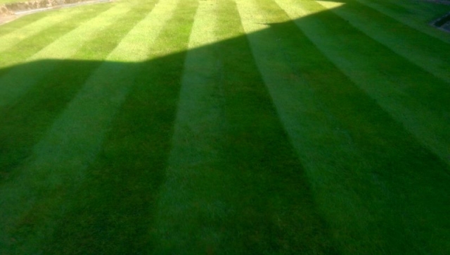 Morning Cut By LawnQuest