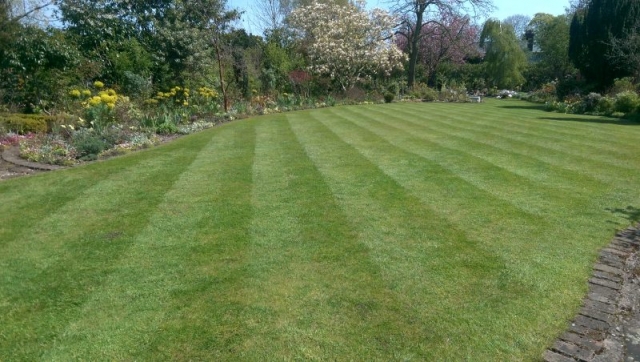 Lawn Cut by LawnQuest